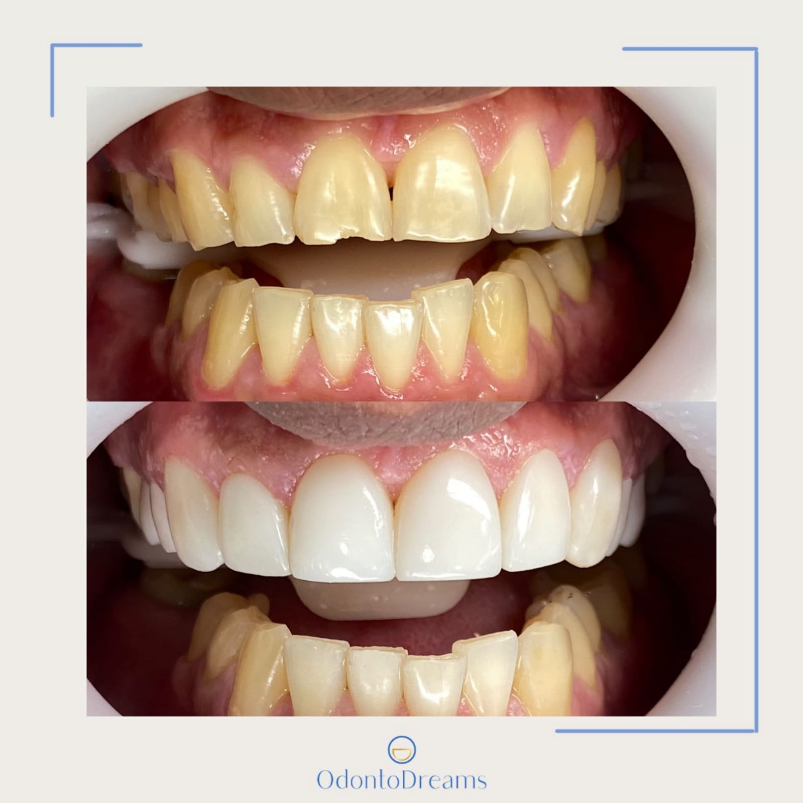 WhatsApp Image 2024-08-02 at 08.52.39 (1)